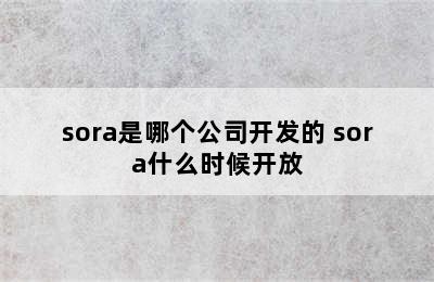 sora是哪个公司开发的 sora什么时候开放